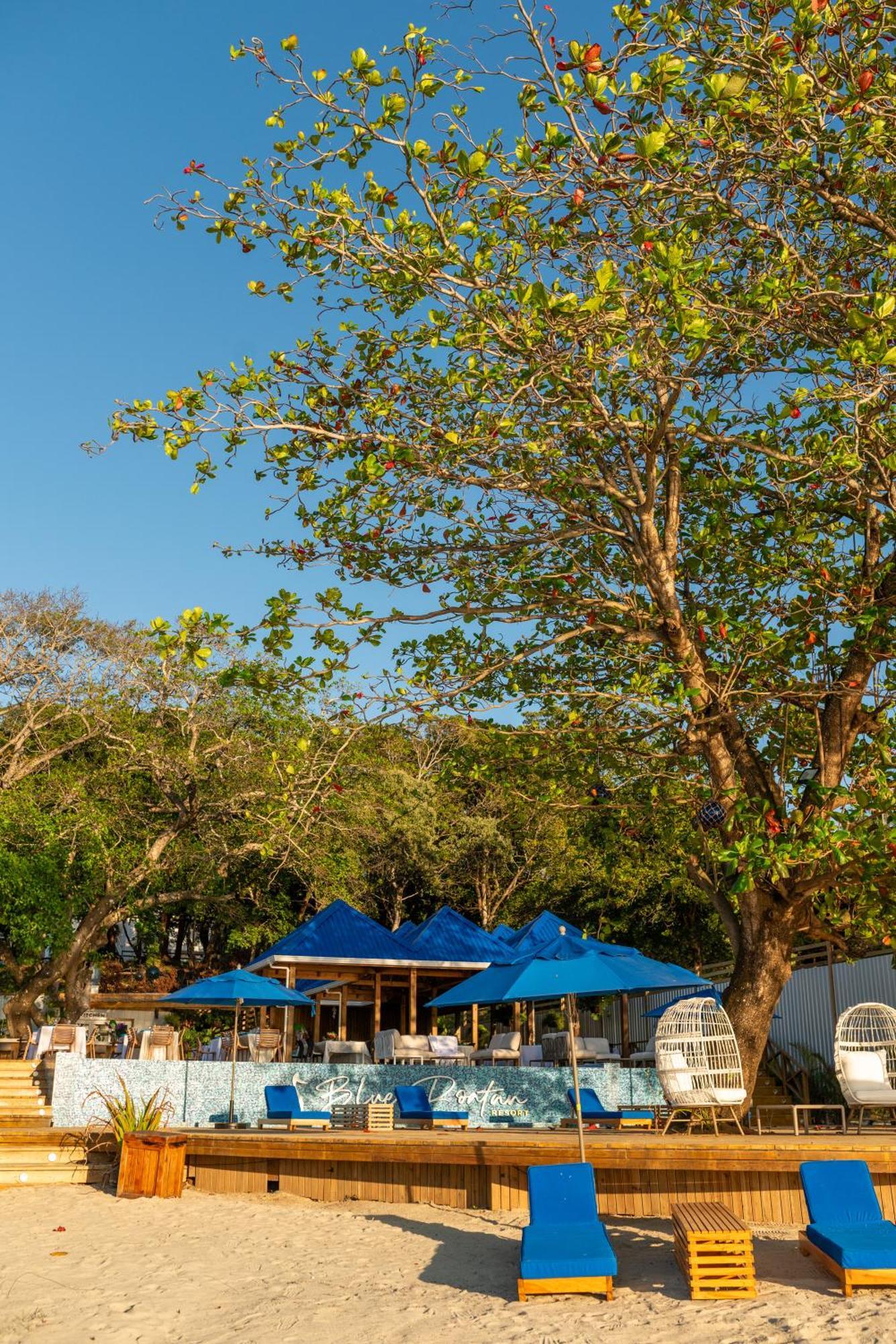 Blue Roatan Resort West Bay Exteriör bild