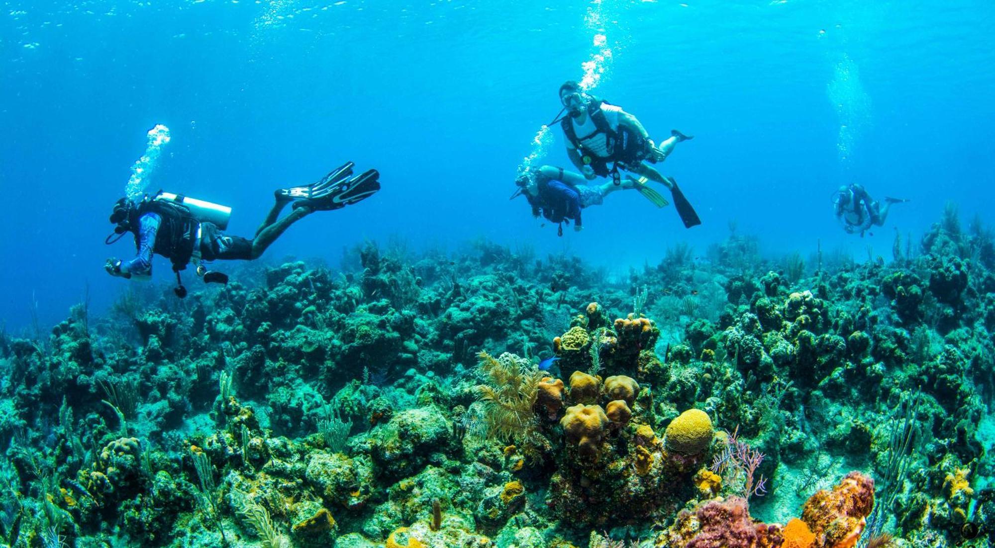Blue Roatan Resort West Bay Exteriör bild